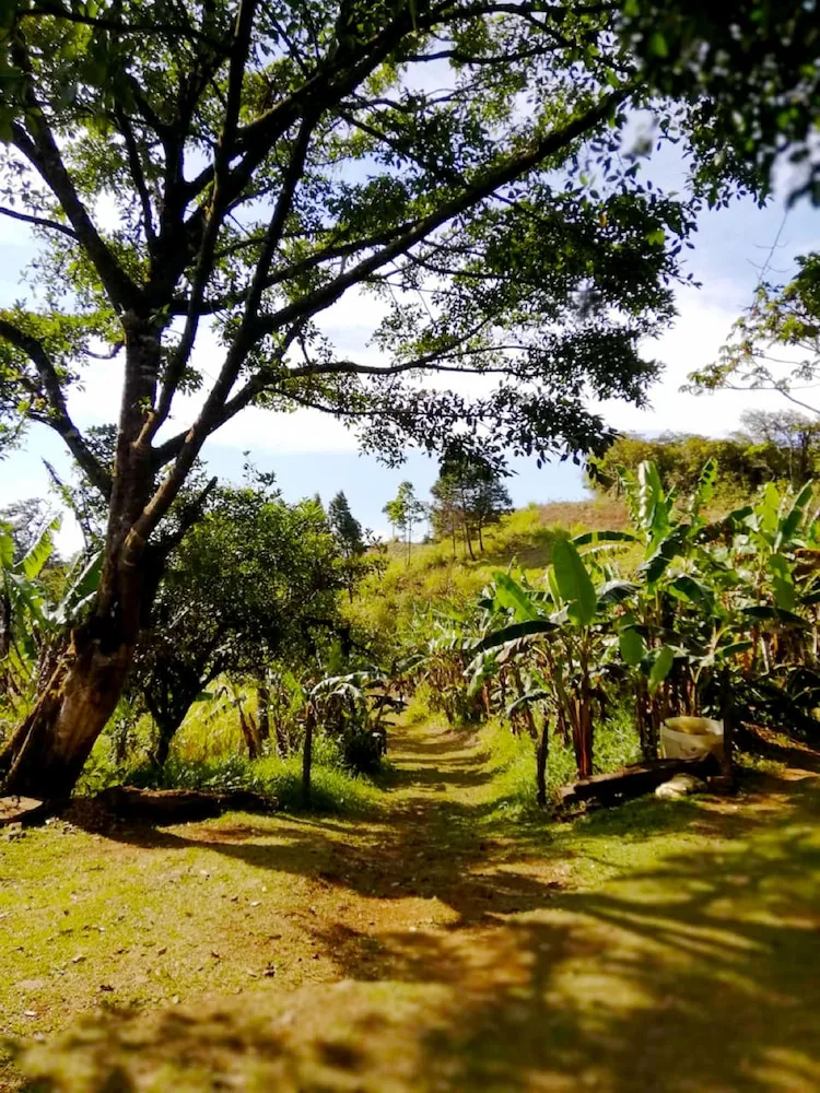 Cabañas Las Orquideas Miramar